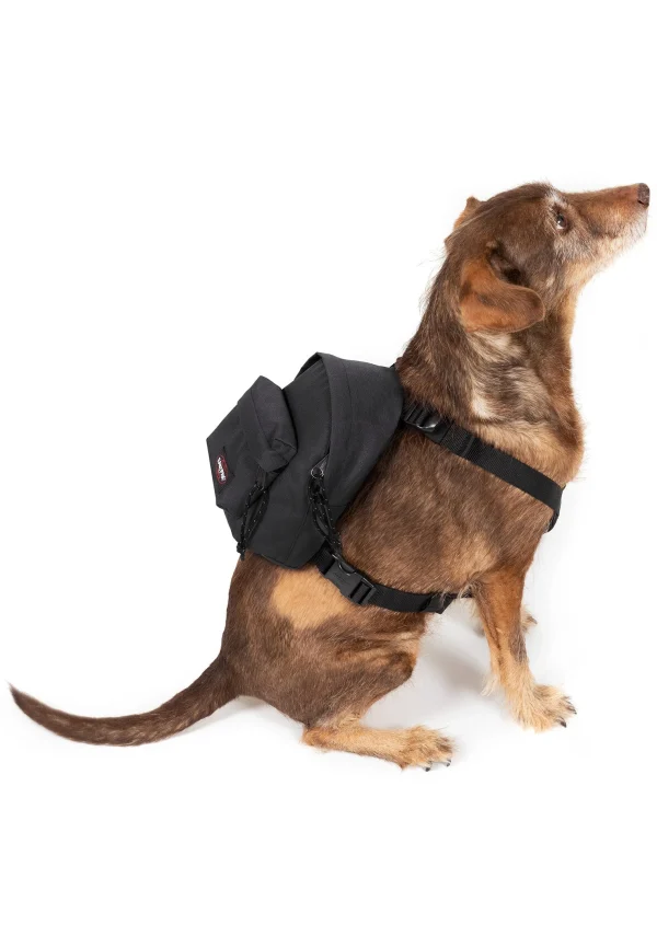 Eastpak Dog Pak’R – Accessoires Animaux – Black luxe soldes 1