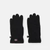 destockage Dickies Louisburg Glove Unisex – Gants – Black 7